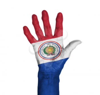 Palm of a woman hand, painted with flag of Paraguay