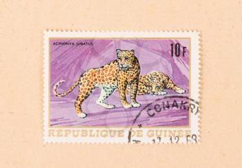 PAPUA NEW GUINEA - CIRCA 1980: A stamp printed in Papua New Guinea shows a cheetah, circa 1980
