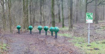 Fitness equipment in a forest - One stage of many - Netherlands