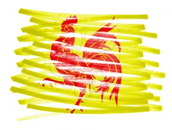 Flag illustration made with pen - Wallonia