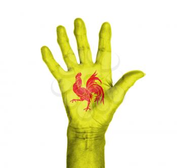 Palm of a woman hand, painted with flag of Wallonia