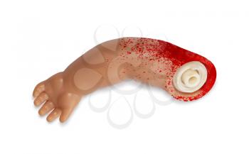 Separated arm of a doll, covert in blood