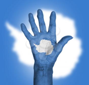 Palm of a woman hand, painted with flag of Antarctica