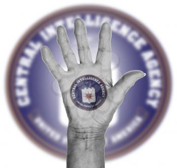Palm of a woman hand, painted with flag of the CIA