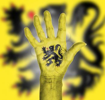 Palm of a woman hand, painted with flag of Flanders