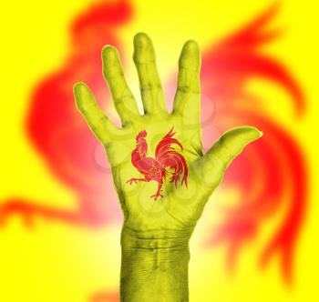Palm of a woman hand, painted with flag of Wallonia