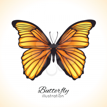 Bright hand drawn butterfly
