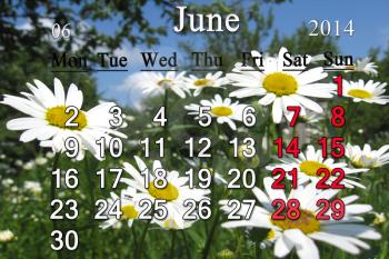 calendar for the June of 2014 on the background of summer camomiles