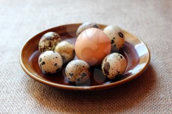 some eggs of the quail and one of the hen on the plate