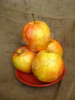 four nice apples on the plate, on the brown background