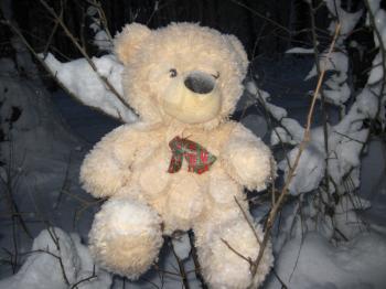 toy bear lost in the winter forest