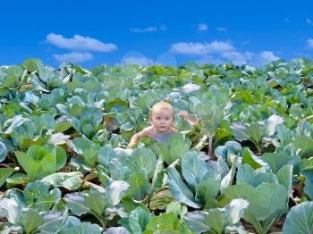 The image of newborn kid found in cabbage