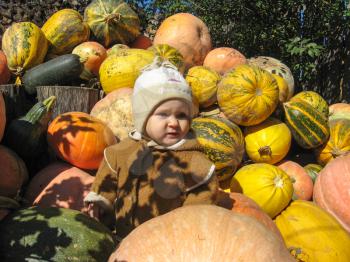The image of the baby sitting on the pumpkins