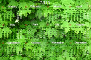 calendar for 2014 - 2017 years on the green leaves of maple background