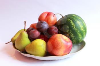 still life from different fruits watermelon, pears, pluma and nectarine
