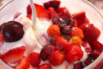 tasty icecream with berries of cherry and wild strawberry