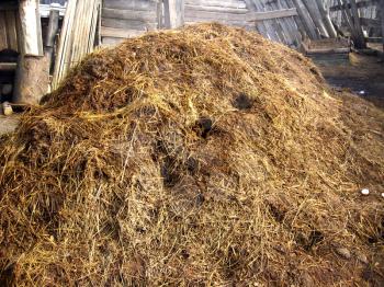 image of heap of the dung besides the shed