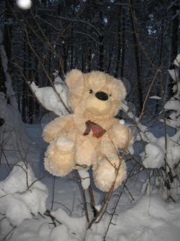 Toy bear in a winter wood in bushes