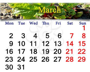 calendar for March of 2015 year with ribbon with green rhubarb