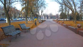 benches and path in the Autumn city park with trees and leaves