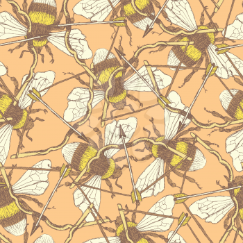 Sketch bee and bow in vintage style, vector seamless pattern