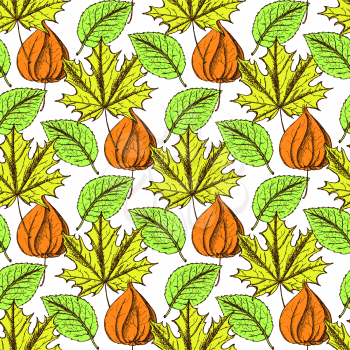 Sketch physalis and leaves in vintage style, vector seamless pattern