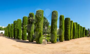 Gardens at the Alcazar de los Reyes Cristianos in Cordoba in a beautiful summer day, Spain