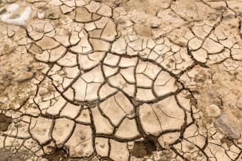 Dry land and cracked ground background in a summer day