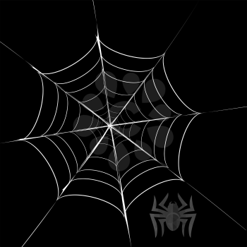 Polygonal Grey Spider and Her  Cobweb on Black Background