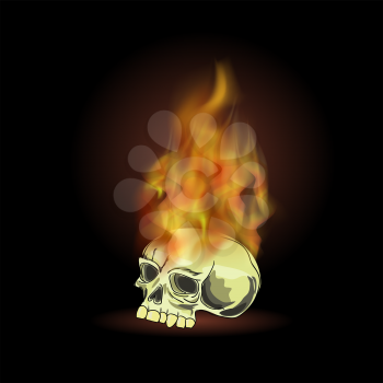 Burning Old Human Skull with Fire Flame on Black Background