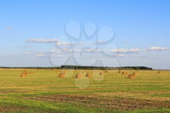 Summer landscape with hay, field and blue sky