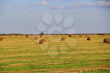 Image of landscape with hay, field and blue sky