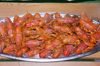 Red boiled crawfishes on the table in oval dish
