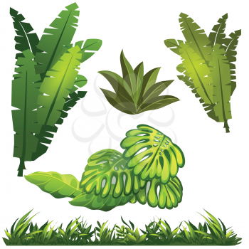Royalty Free Clipart Image of Ferns