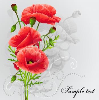 Royalty Free Clipart Image of a Poppy
