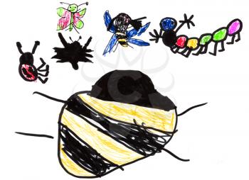 childs drawing - different insects