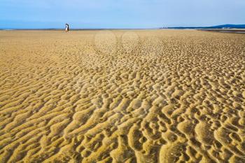 wet sand during low water on beach of English Channel in Normandy, France