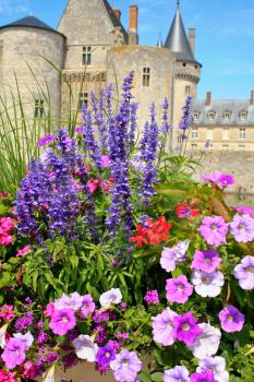 Flowerbed with bright colour flower in front of mediaeval castle Sully-sur-loire