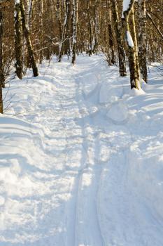 ski track in sunny winter park