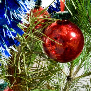 two red glass balls and tinsel on Christmas-tree