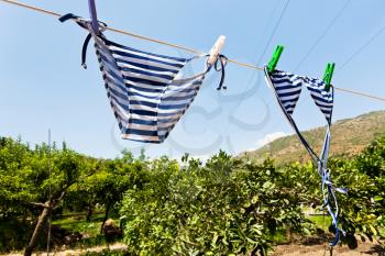 drying female swimsuit outdoor in rural garden