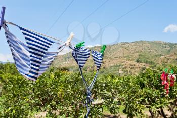 drying women swim suits outdoor on mountain hill in summer day