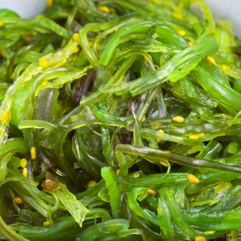 chuka salad - seaweed salad sprinkled with Sesame Seeds close up