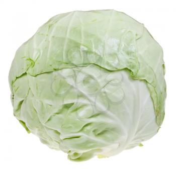 loaf of green cabbage isolated on white background