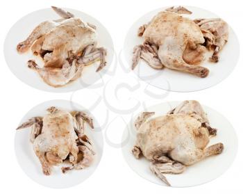 boiled chicken on plate isolated on white background