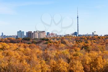 panorama with TV tower and autumn forest in sunny day in Moscow