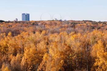 autumn view with yellow forest trees and urban house in sunny day