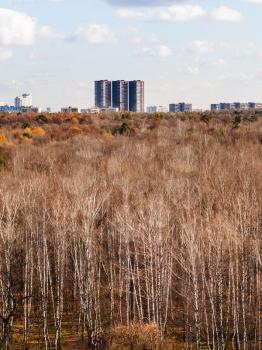 autumn forest with bare trees and urban houses on horizon
