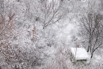 snow-covered shed in winter forest