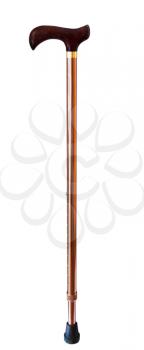 walking stick isolated on white background